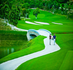 Cỏ nhân tạo sân golf TC40-10CG