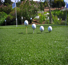 Cỏ nhân tạo sân golf  TC46-12CG