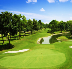 Cỏ nhân tạo sân golf  TC47-15CG