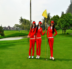 Cỏ nhân tạo sân golf  TC48-18CG