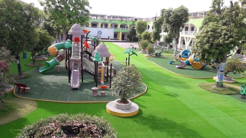 Cỏ sân vườn TC09-15