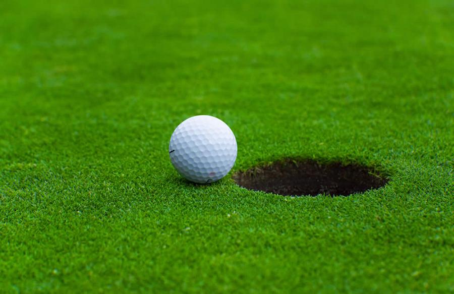 Cỏ nhân tạo sân golf  TC42-18CG